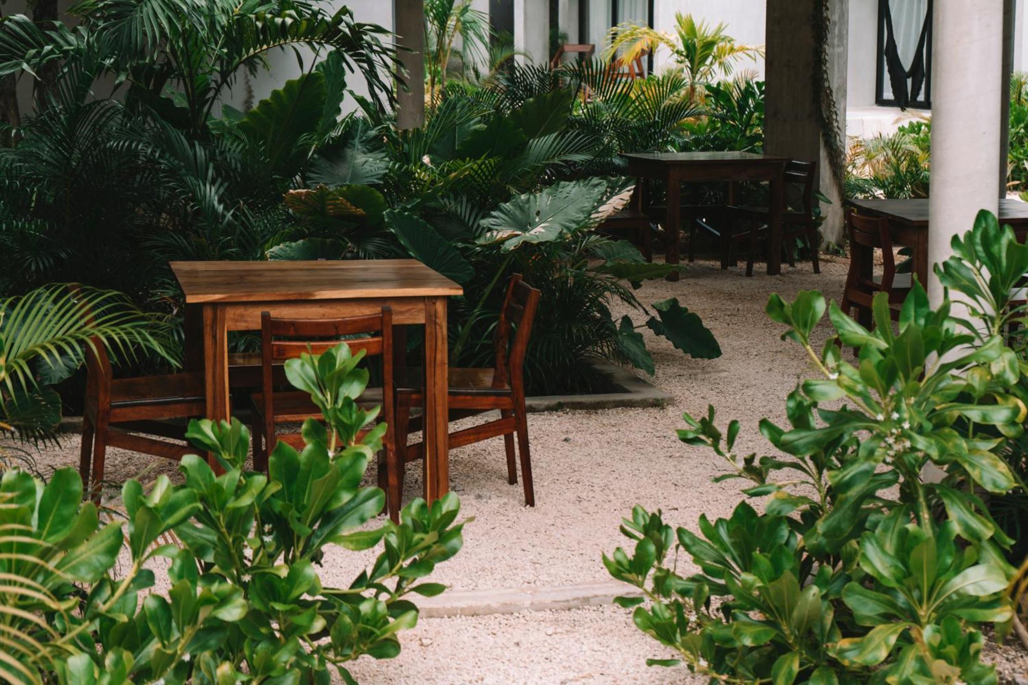 Apartment Seremonia Selva By Dream Vacay Tulum