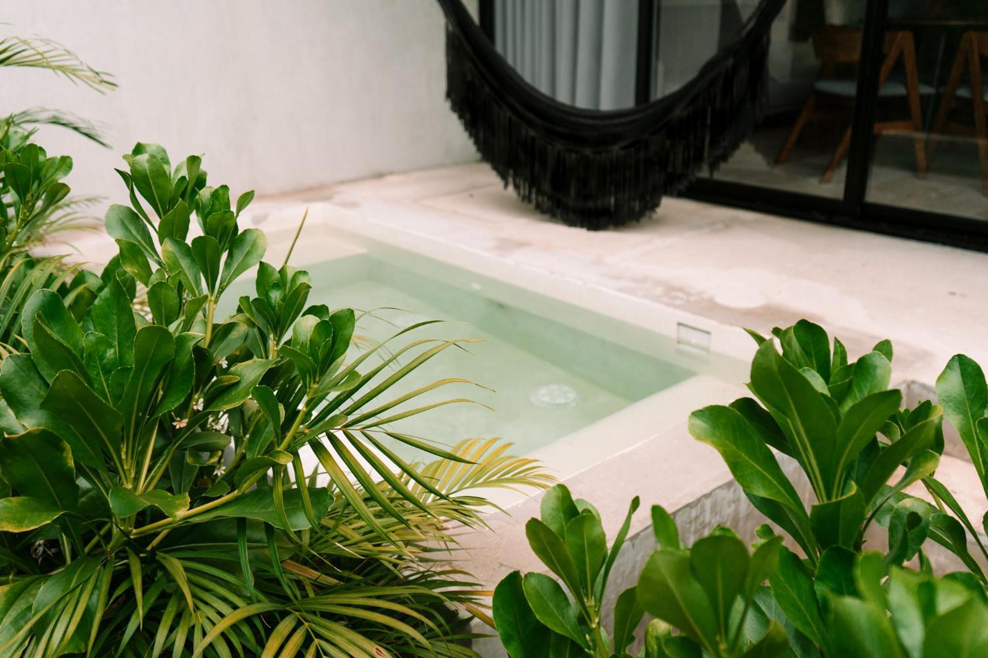 Seremonia Selva By Dream Vacay Apartment Tulum