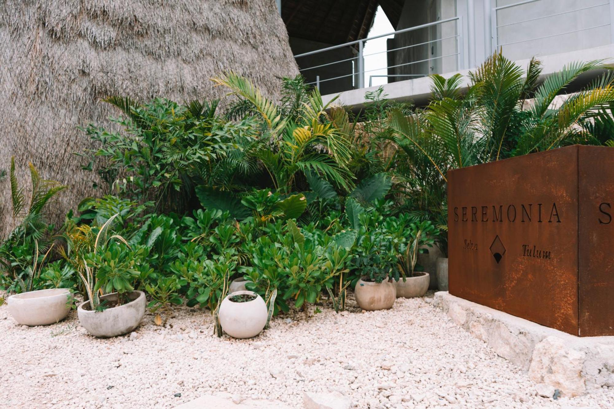 Apartment Seremonia Selva By Dream Vacay Tulum